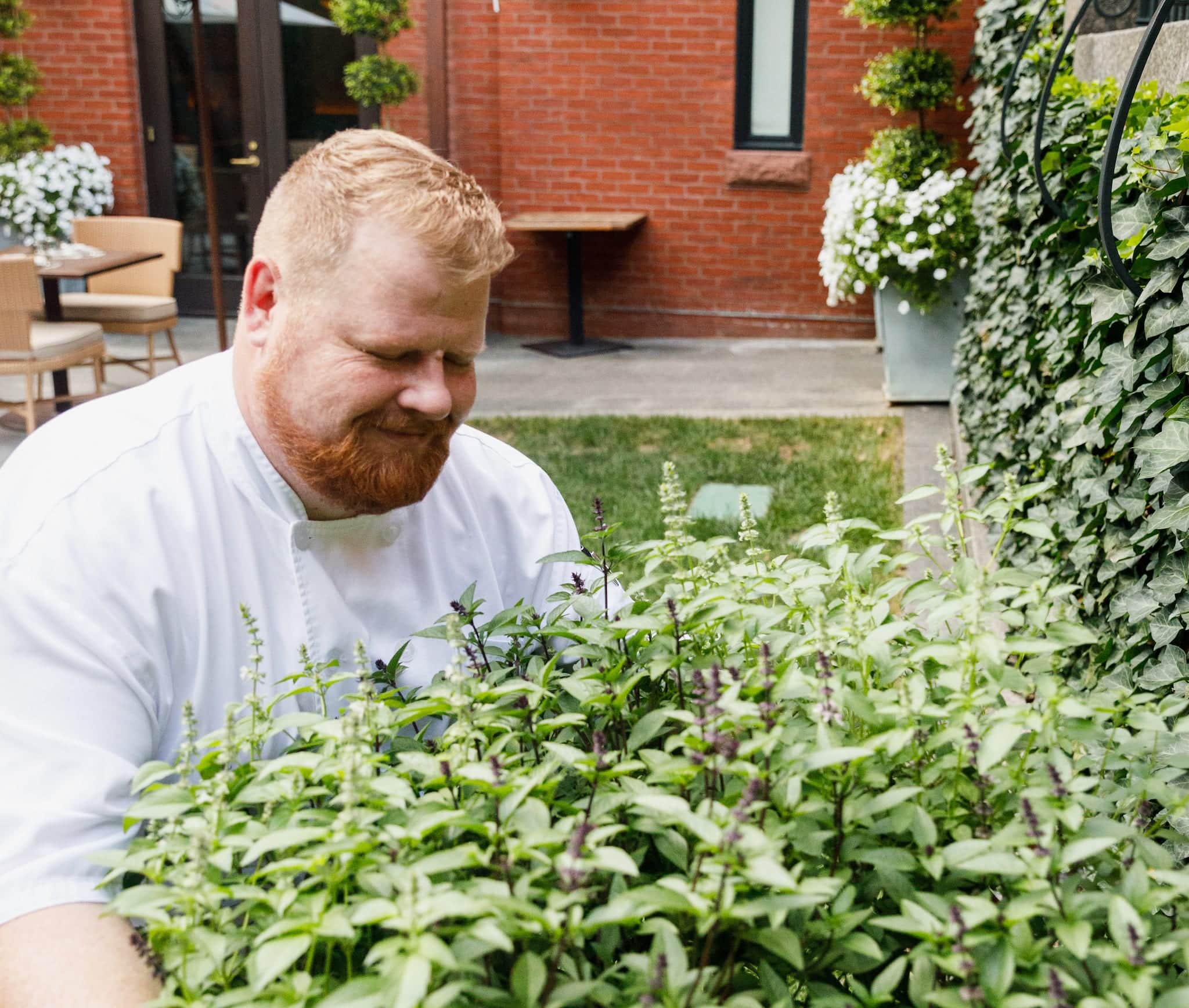 Magdalena Baltimore's Chef Mark Levy choosing garden herbs