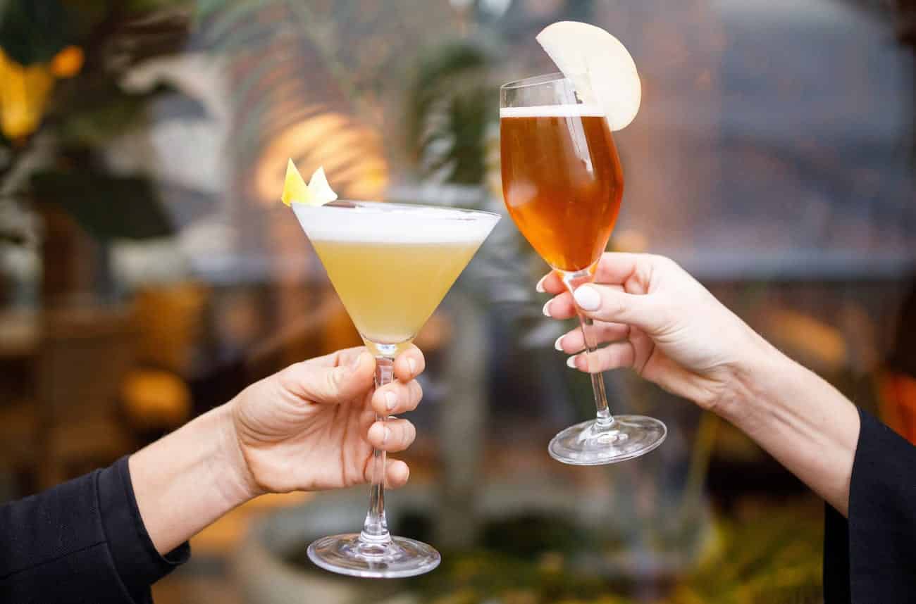 Two cocktails toasting in front of window.